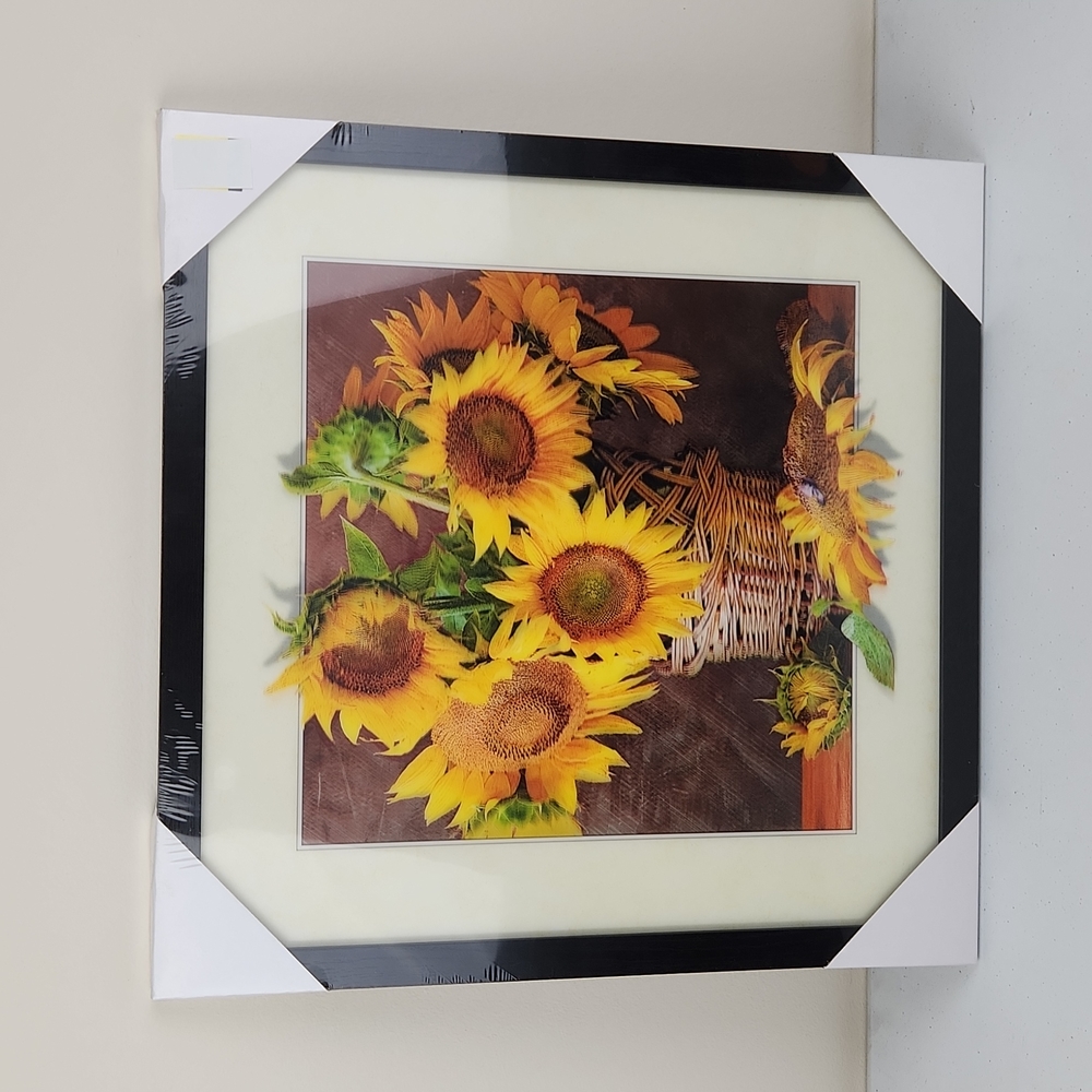 Framed 3D Artwork